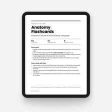 Anatomy Flashcards