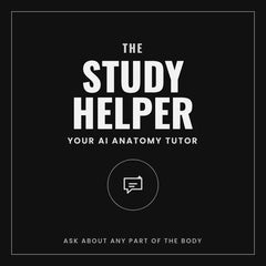 The Study Helper