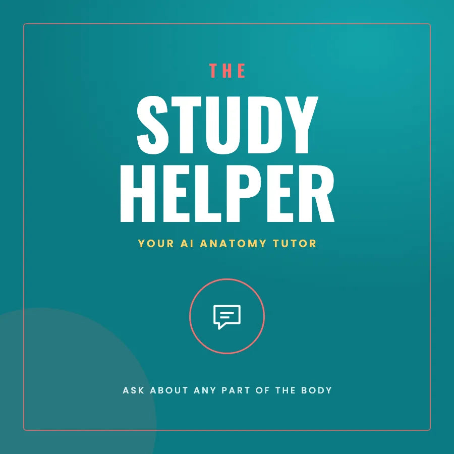 The Study Helper
