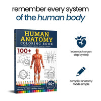 Human Anatomy Coloring Book cover
