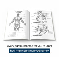 Open book: labeled major muscles and heart pages