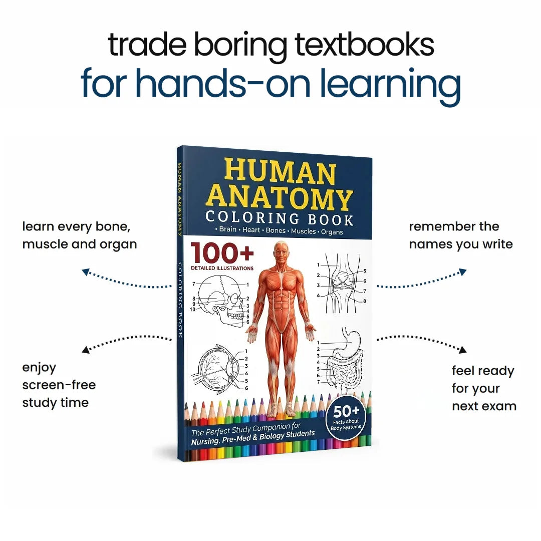 Human Anatomy Coloring Book and what it helps with