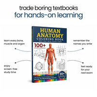 Human Anatomy Coloring Book and what it helps with