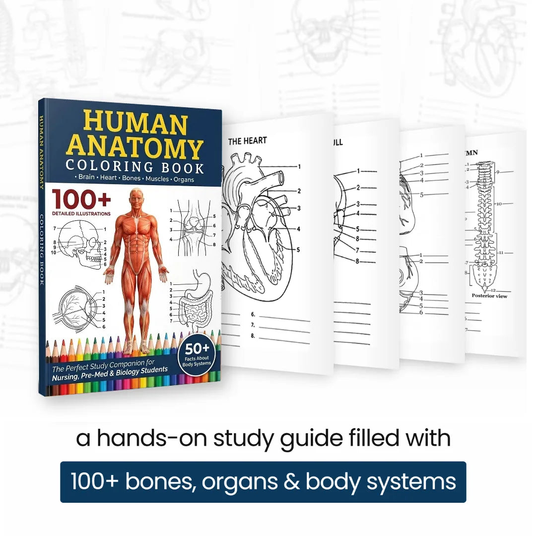 Book cover with sample labeled pages