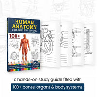 Book cover with sample labeled pages