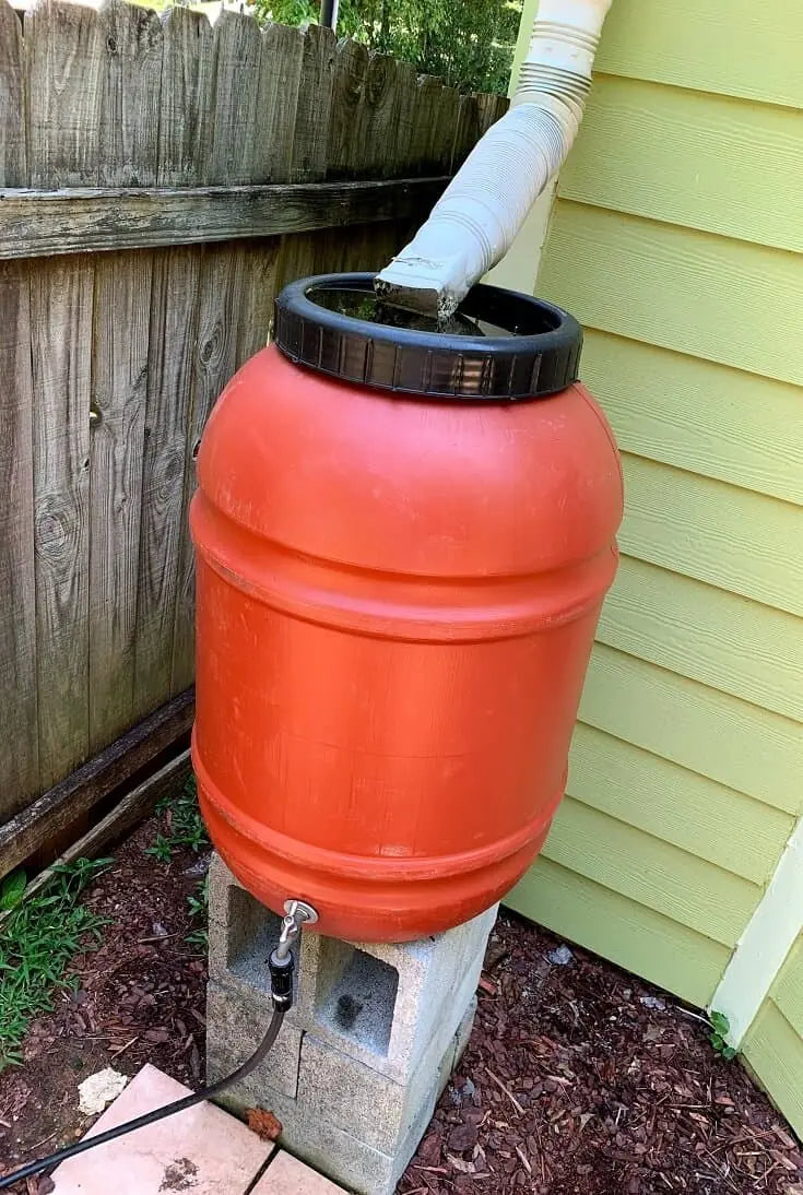 Water Filtration System